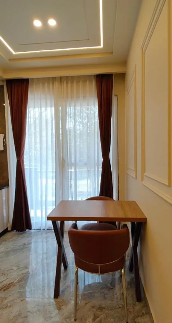 Lime Tree 1Bhk Service Apartment Near Artemis, Sector 52 Gurgaon India